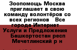 Зоопомощь.Москва приглашает в свою команду волонтёров со всех регионов - Все города Интернет » Услуги и Предложения   . Башкортостан респ.,Мечетлинский р-н